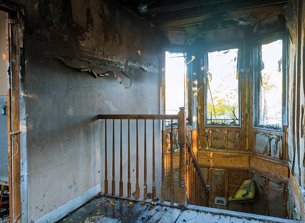 Fire and smoke damage cleanup, odor removal, and full restoration.