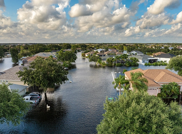 San Antonio’s spot in Flash Flood Alley means frequent flooding. We safely mitigate damage and sanitize homes from Leon Creek, Olmos Creek, or storm floods Blackwood Restoration